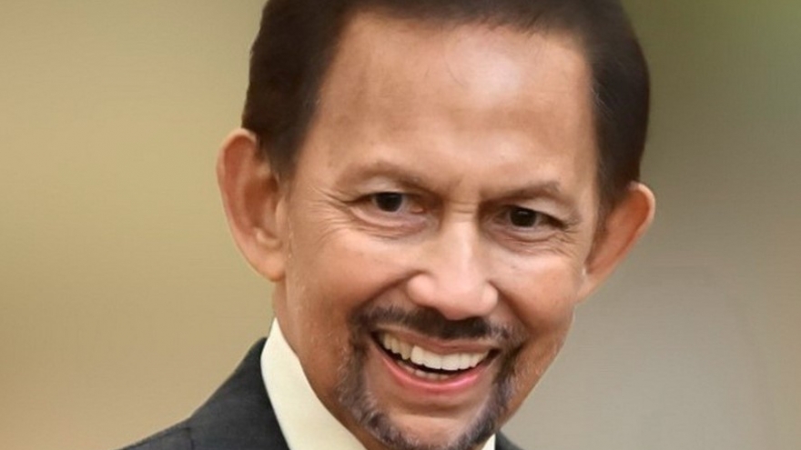 Sultan’s visit demonstrates Brunei’s high regard for Vietnam: Ambassador